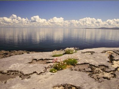 This UNESCO World Heritage Site is a unique otherworldly landscape formed over 300 million years.