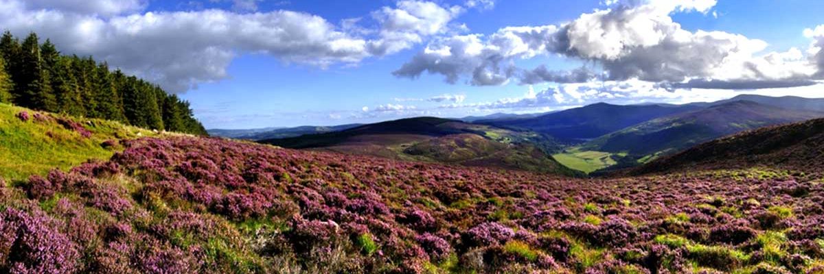 Stunning beauty of the Wicklow Mountains