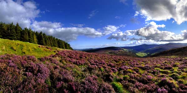 Stunning beauty of the Wicklow Mountains